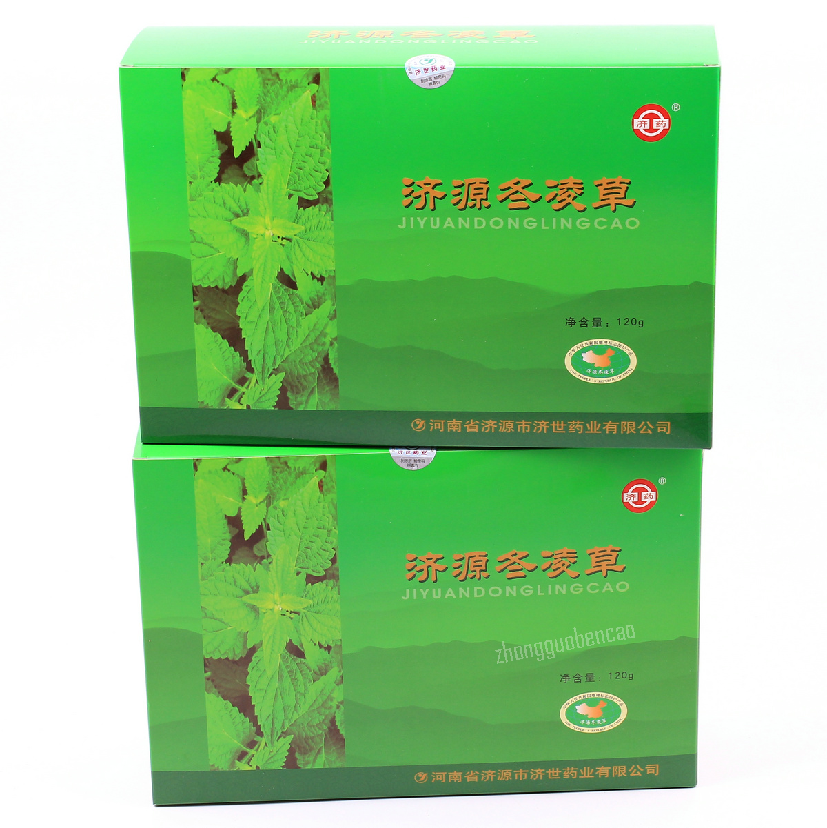 2 Boxes (240 Bags Totally) Jishi Donglingcao Cha 济世冬凌草茶 Main image