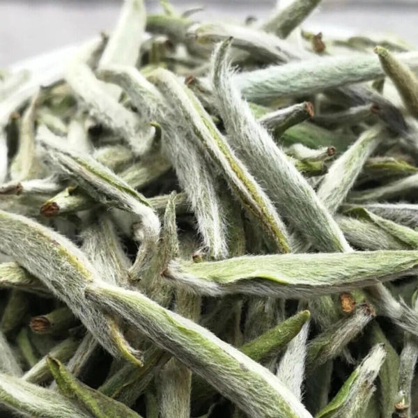 White Tea Fuding Original White Tea Specialty Tea Premium Silver Needle 50g