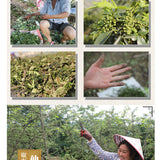 Organic Sichuan Green Pepper Health Herbs for Cooking Dried Pepper Huajiao 250g