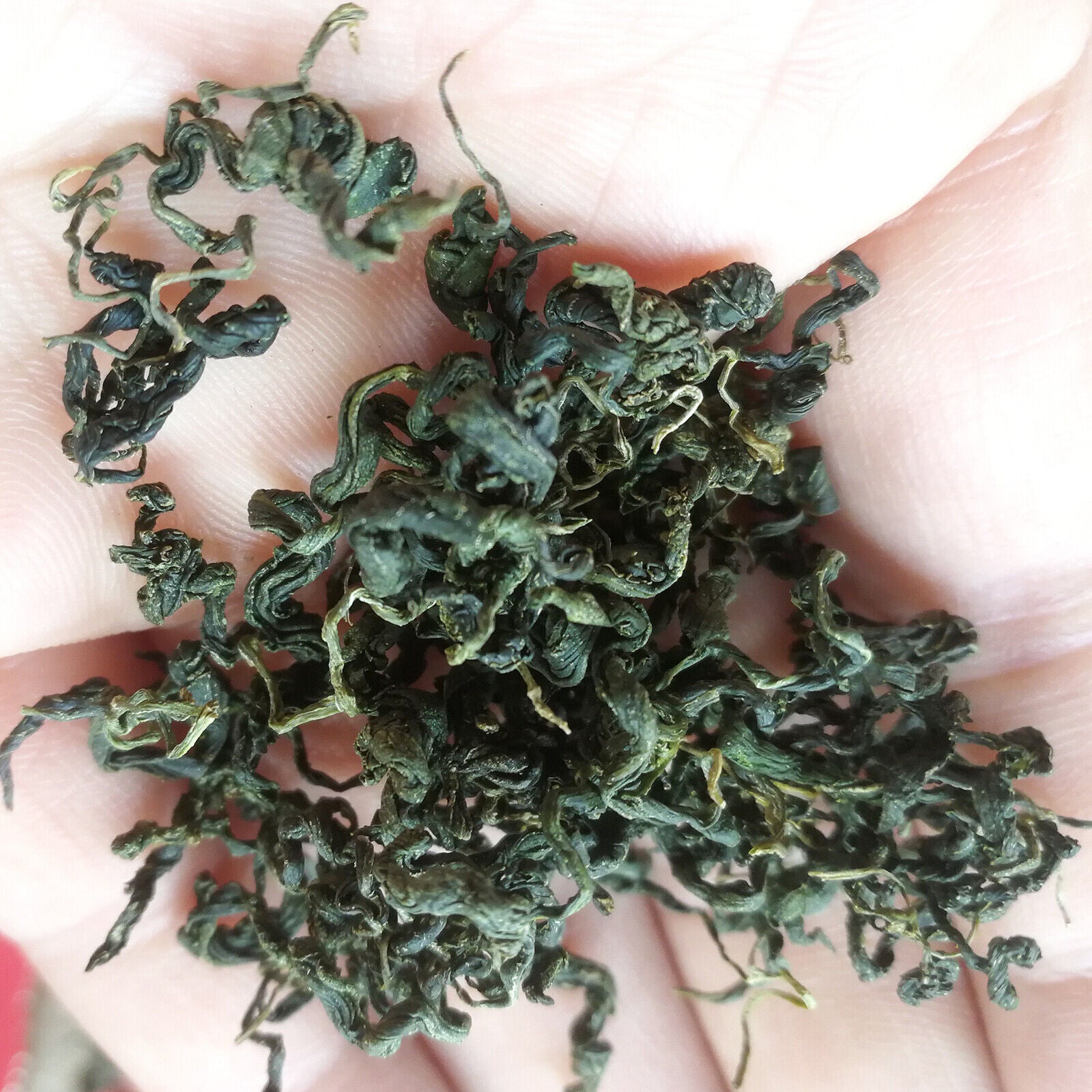 Natural Gynostemma Pentaphyllum Loose Leaf Herbs Tea Ecology Jiaogulan Tea 250g Main image