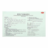 云南白药 藿香正气胶囊 YNBY Huo Xiang Zheng Qi Capsule (24 capsules/Box)