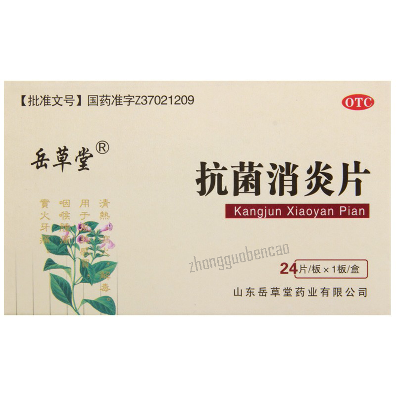 Yuecaotang Kangjun Xiaoyan Pian 岳草堂抗菌消炎片 Secondary image