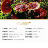 Xiuzheng Lingzhi Baozi Ganoderma Spore Powder Healthy HerbalTea修正破壁灵芝孢子粉养生保健强免疫力