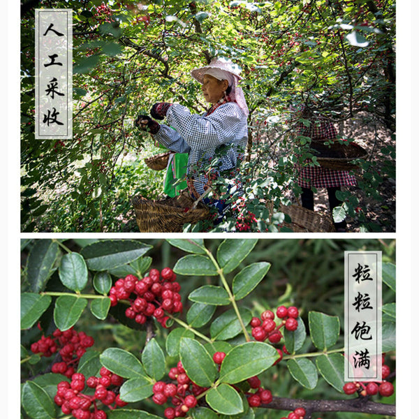 Red Pepper Healthy Herbal Sichuan Peppercorn Huajiao Cooking and Soup 250g