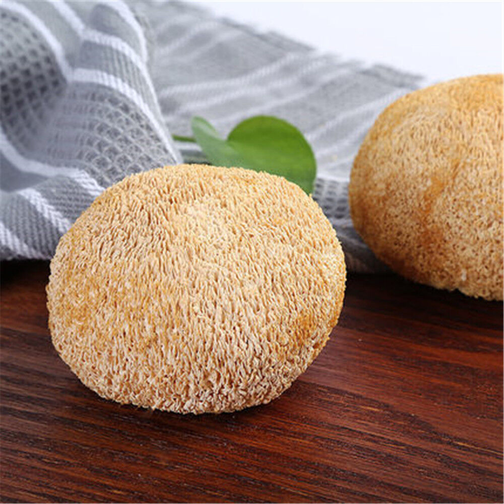 100% Organic 500g Natural Dried Lion's Mane Mushroom Chinese Herbs Healthy Drink Secondary image