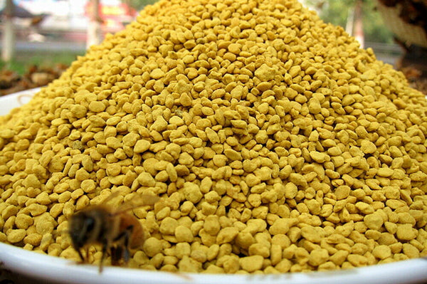 Rapeseed Brassica Napus Precaution for Cardiovascular Cerebrovascular Diseases