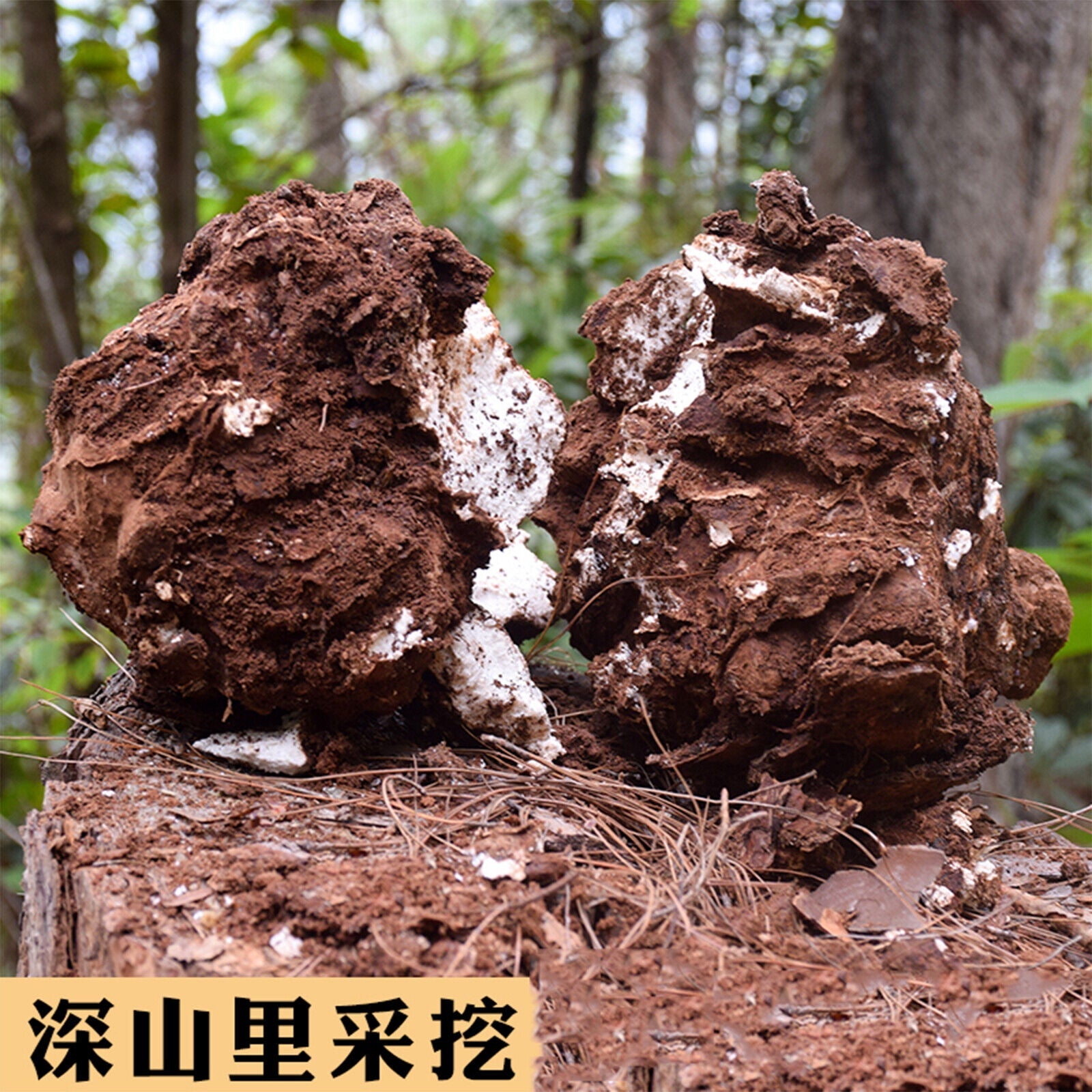 Poria Cocos Used for Soup Porridge Health Care Natural Organic Herbal Tea 500g