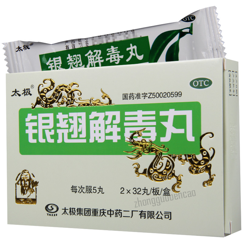 太极银翘解毒丸 Taiji Yinqiao Jiedu Wan Main image