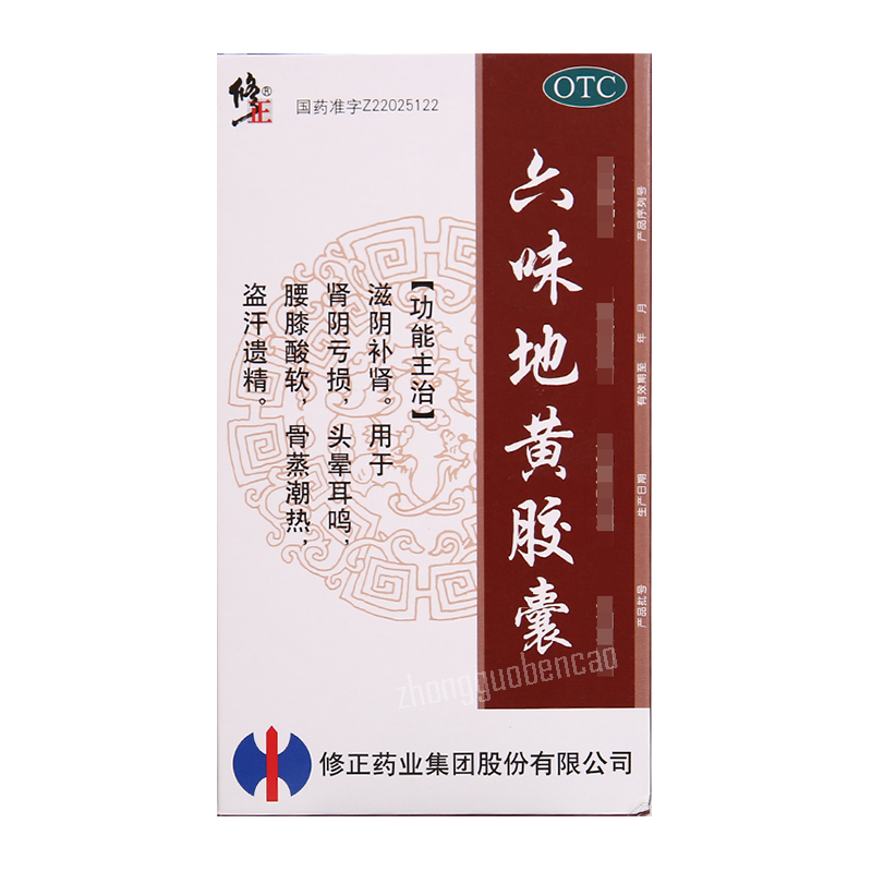 修正六味地黄胶囊 Xiuzheng Liuwei Dihuang Jiaonang Main image