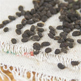 Natural Bu Gu Zhi Ecology Herbal Medicine Psoralea Fruit Chinese Herbal Tea 100%
