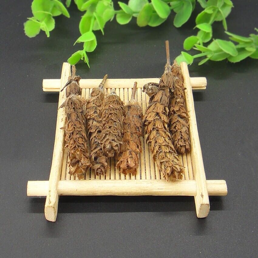 夏枯草 Xia Ku CaoPrunella Vulgaris Chinese herbs Common selfhe Spica Prunellae