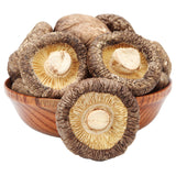 Kitchen Food Chinese Qing Yuan Dry Shiitake Edible Fungus 500g Winter Mushroom