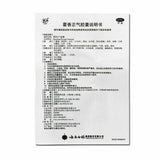 云南白药 藿香正气胶囊 YNBY Huo Xiang Zheng Qi Capsule (24 capsules/Box)