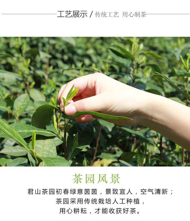 Chinese Hunan Mao Jian Green Tea JUN SHAN WANG Ming Qian Spring New Tea 250g