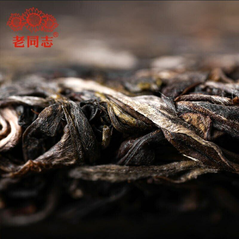 Haiwan Pa Sha Ancient Tree Cha Puer Tea Aged Tree Sheng Puerh Tea 500g Main image