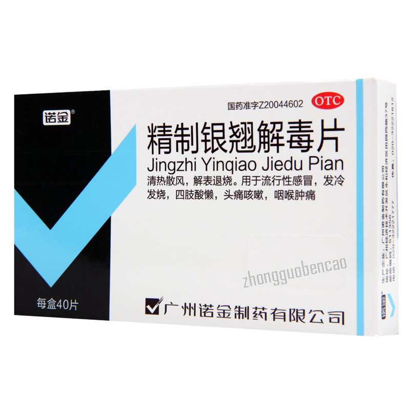 诺金精制银翘解毒片 Nuojin Jingzhi Yinqiao Jiedu Pian Main image