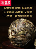 Yunnan Pu'er Cha Tea Natural Healthy China HerbalTea 新益号 云南普洱茶生茶小粒装500g生普早春沱小沱茶