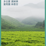 Natural Health HerbJiaogulan Cha Gynostemma Tea 艺福堂七叶绞股蓝茶 平利龙须茶泡水天然健康 降三高 助于延缓衰老