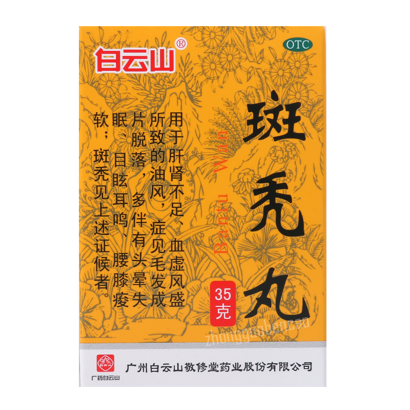 白云山斑秃丸 Baiyunshan Bantu Wan Hairloss Prevention Main image