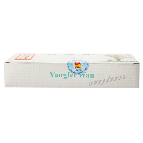 Tongrentang Yangfei Wan 同仁堂养肺丸