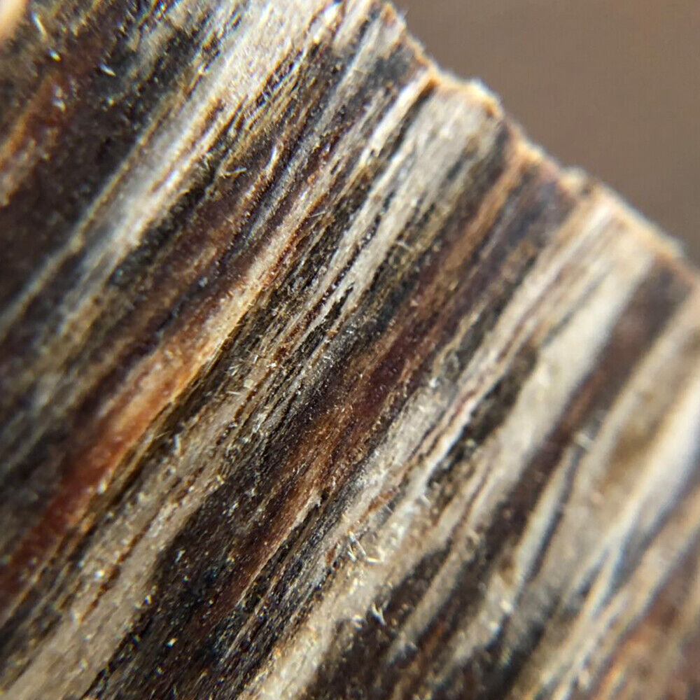 Incense Aroma Natural Wild And Rare  High Quality Agarwood Chips Oud Chips |50g