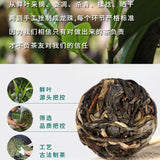 Xin Yi Hao Bing Dao Tian Gu Shu Pu Er Cha Shu Cha Tuo Cha新益号冰岛甜古树普洱茶熟茶沱茶小粒装