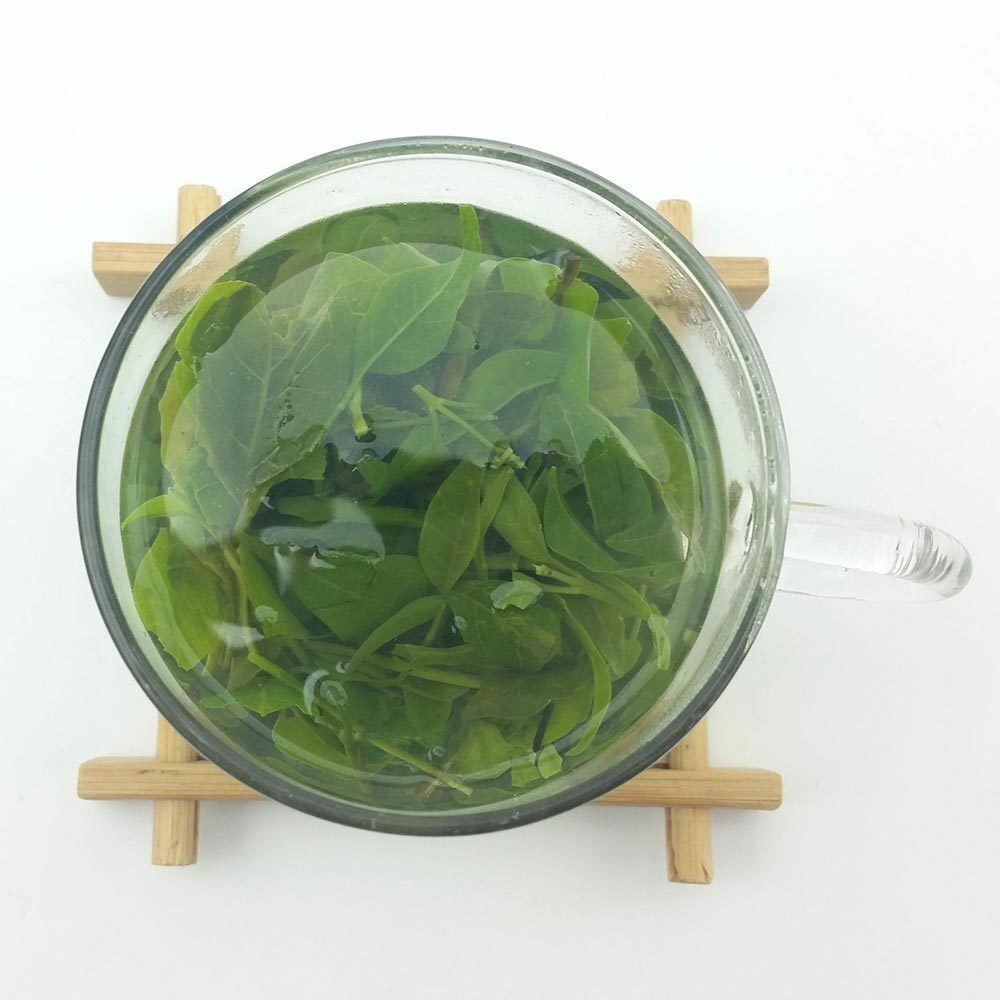 Natural Small Leaf Kuding Tea Personal Health Care Hainan Herbal Bitter Tea