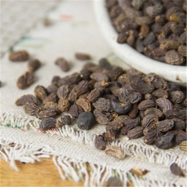 Natural Ligustri Lucidi Fructus Nv Zhen Zi 女貞子 100% Chinese Herb