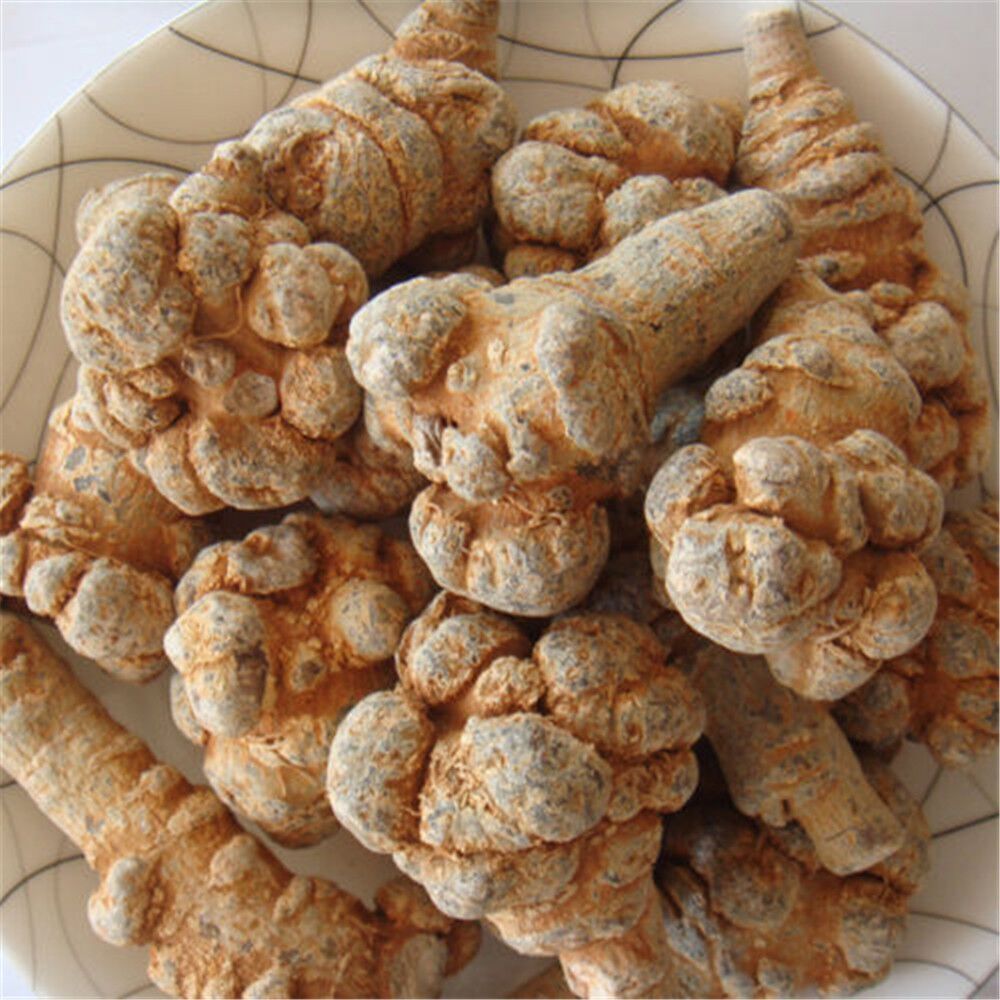 Notoginseng Sanqi Powder Organic High quality Sanchi Tienchi Ginseng Root 100g