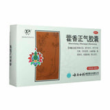 云南白药 藿香正气胶囊 YNBY Huo Xiang Zheng Qi Capsule (24 capsules/Box)