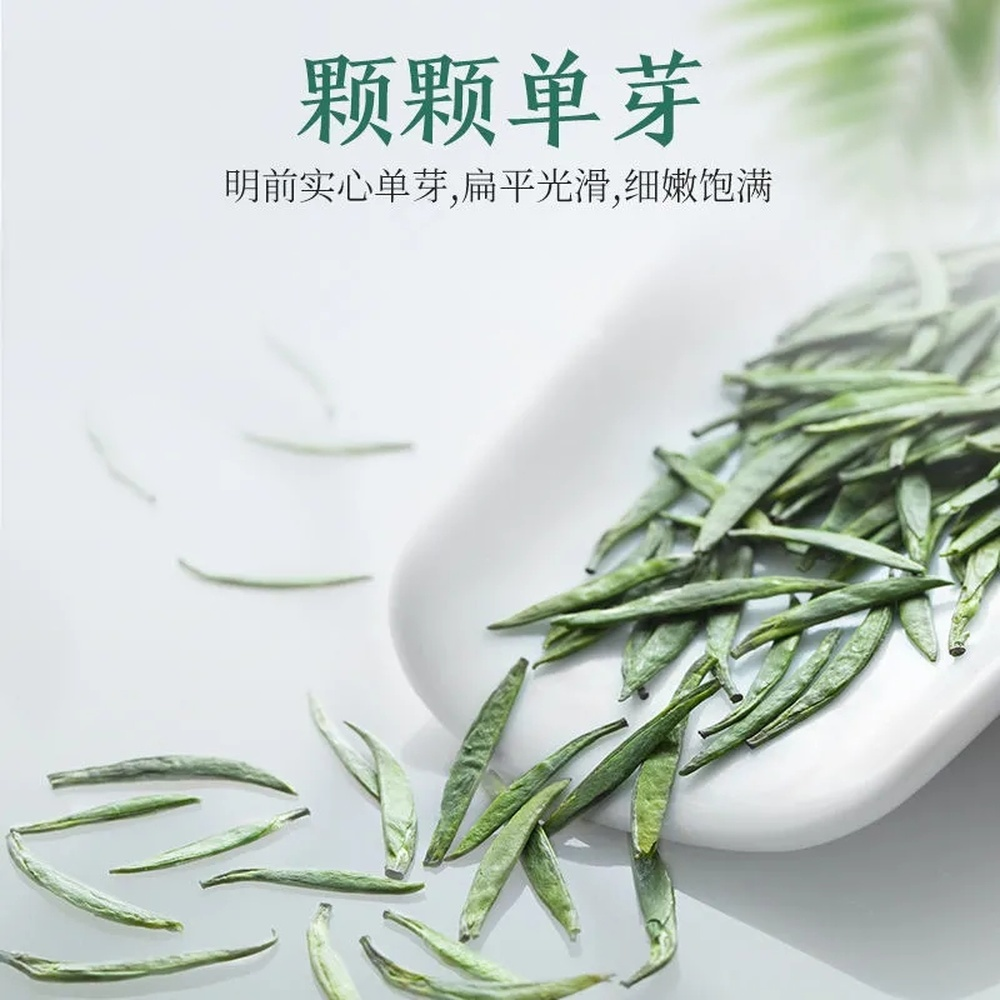 Green Tea Gift Box China Organic Jin Tan Que She Hand Picked Sparrow Tongue 50g