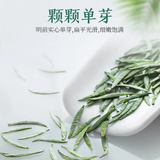 Green Tea Gift Box China Organic Jin Tan Que She Hand Picked Sparrow Tongue 50g