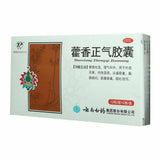 云南白药 藿香正气胶囊 YNBY Huo Xiang Zheng Qi Capsule (24 capsules/Box)