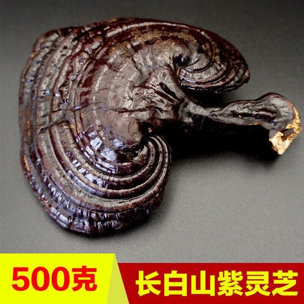 500g Reishi Soup Purple Ganoderma Lucidum Wild Lingzhi Mushroom Herbs