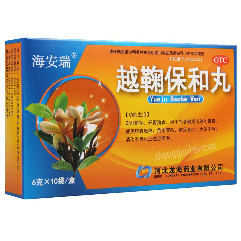Haianrui Yueju Baohe Wan 海安瑞越鞠保和丸 Main image
