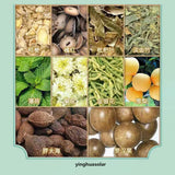 Health Herbal Tea Nourishing Throat 北京同仁堂大麦薄荷桔梗清润养生咽喉茶胖大海雪梨枇杷茶栀子金银花菊花罗汉果5g*24袋/盒