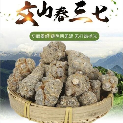 Tienchi Ginseng Root Organic High quality Sanchi Notoginseng Sanqi Powder 500g Main image