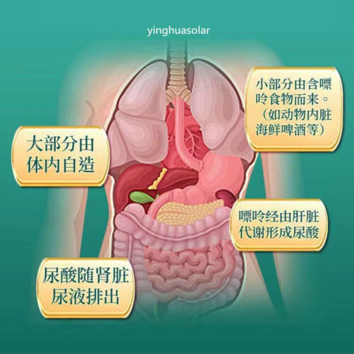 Herbal Tea Natural Urate Lowering Uric Acid Hypoglycemic Lipid-Lowering 同仁堂菊苣茶