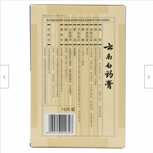 YNBY Gao Huo Xue San Yu Xiao Zhong Zhi Tong云南白药膏活血散瘀消肿止痛膏跌打损伤风湿疼痛贴15片/盒 Main image