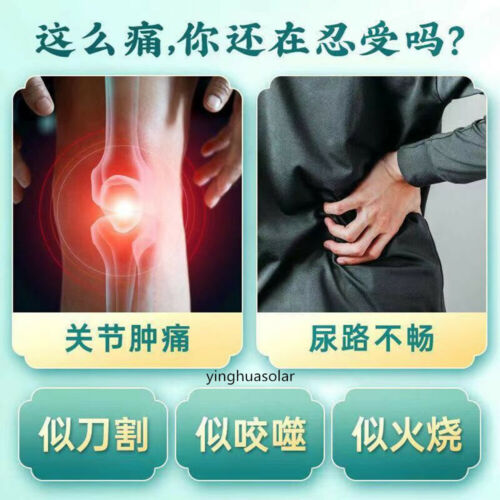 Herbal Tea Natural Urate Lowering Uric Acid Hypoglycemic Lipid-Lowering 同仁堂菊苣茶