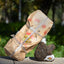 Bao Yan Jin Cha Xiaguan Toucha Raw Mushroom Tuo Cha Pu Erh Puer Tea * 250g