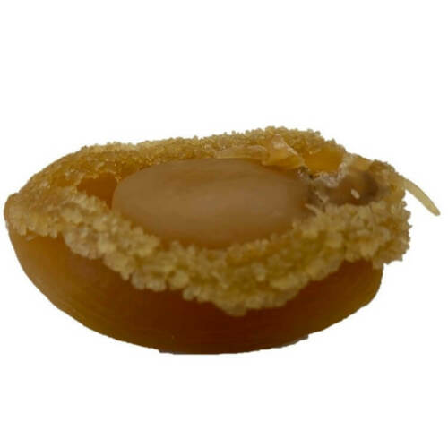 大连干鲍鱼中号干鲍鱼 Da Lian Gan Bao Yu Zhong Ha Gan Bao Yu