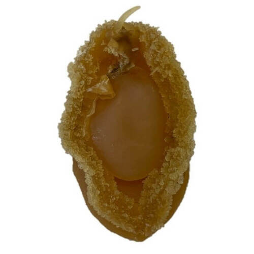 大连干鲍鱼中号干鲍鱼 Da Lian Gan Bao Yu Zhong Ha Gan Bao Yu