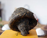 Pu Er Tea Bao Yan Jin Cha Xiaguan Pu Erh Tea Mushroom Tuo Cha Cha Tuocha 250g